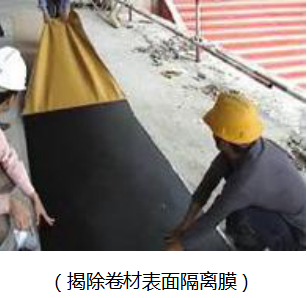 (揭除卷材表面隔离膜)