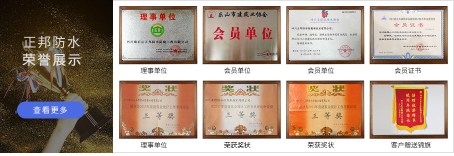 正邦防水荣誉证书
